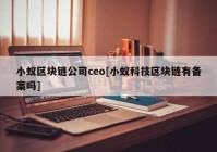 小蚁区块链公司ceo[小蚁科技区块链有备案吗]